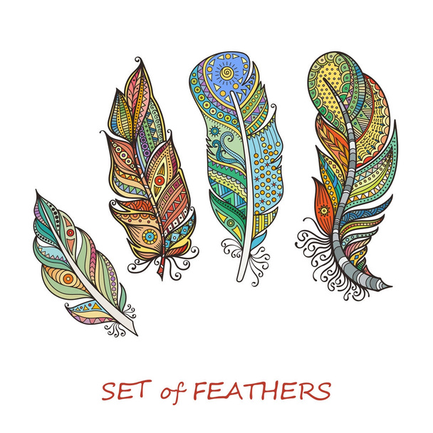 Vector Ornate Set of Stylized and Abstract Feathers. - Vector, Image