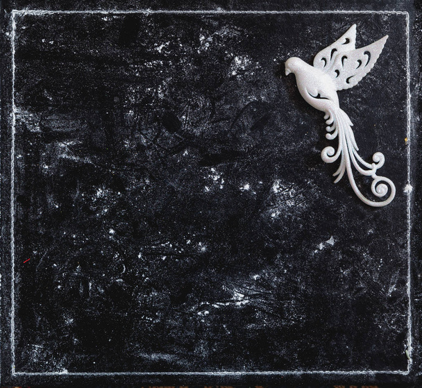 new picture of  white bird on  dark background - Valokuva, kuva