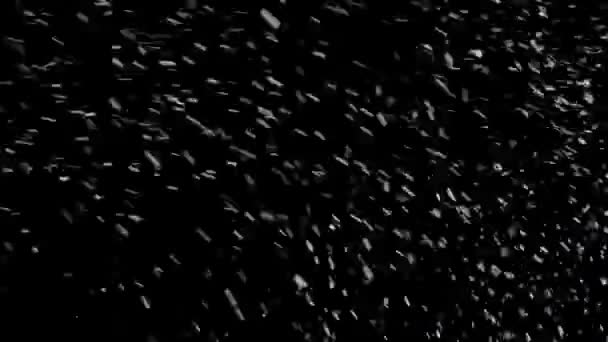 Πραγματική πτώσης χιονιού σε μαύρο φόντο - Πλάνα, βίντεο