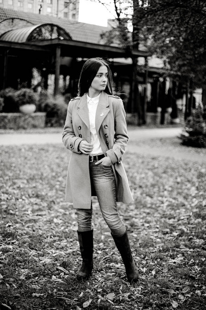 Attractive young woman posing in autumnal park  - Foto, immagini