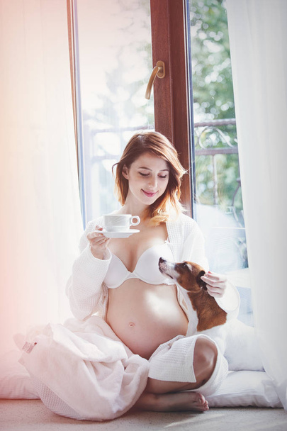 Young pregnant woman in white underwear with cute dog near window. Pregnant woman drinking tea  - Photo, Image