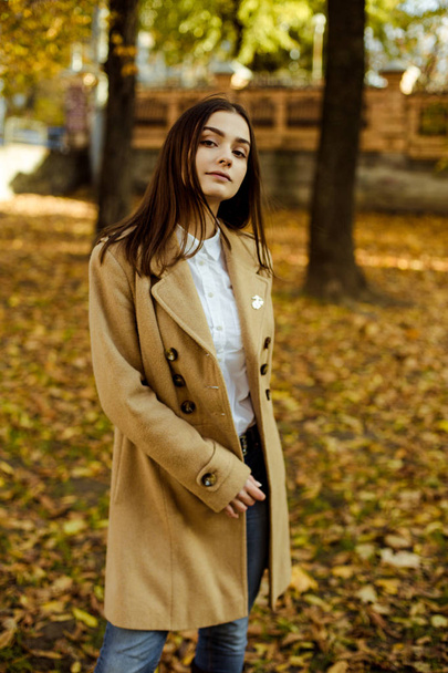Attractive young woman posing in autumnal park  - Φωτογραφία, εικόνα