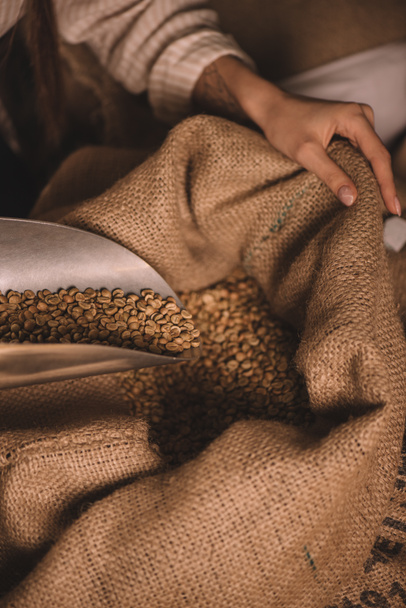 visão parcial do trabalhador recolhendo grãos de café com colher de metal do saco saco
 - Foto, Imagem