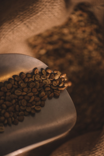 close up view of roasted coffee beans on metal scoop - Valokuva, kuva