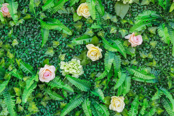 Flowers plant wall - Фото, зображення