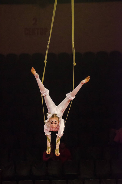 Circus show a bright arena - Foto, afbeelding