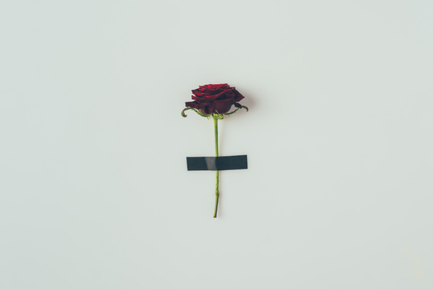 Draufsicht auf Rose mit schwarzem Isolierband isoliert auf weißem, Valentinstag-Konzept - Foto, Bild