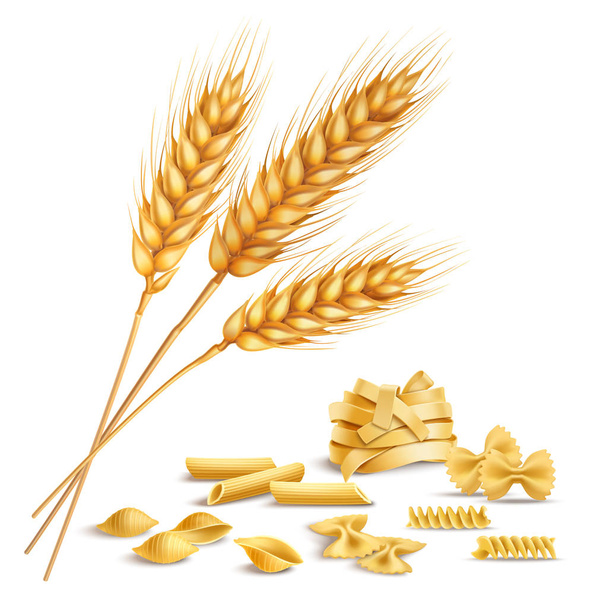 Realistic Wheat Spikelets And Pasta - Vector, Image