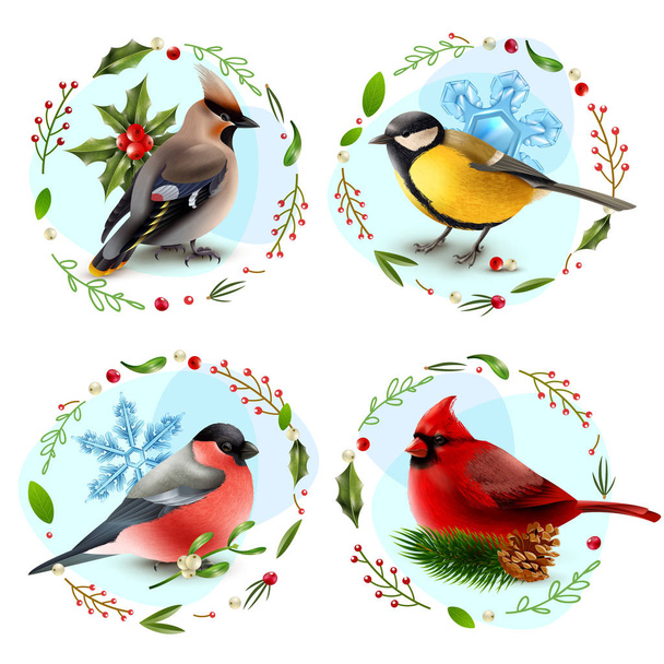 Concetto di design per uccelli invernali
 - Vettoriali, immagini