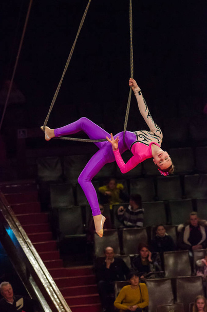 Circus show a bright arena - Фото, изображение