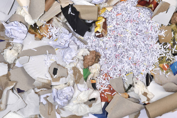 dentro de un contenedor de reciclaje de papel
 - Foto, Imagen