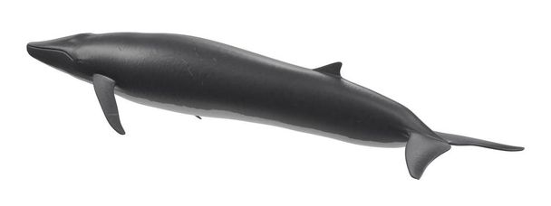 Realistyczne 3d Render Fin wielorybów - Zdjęcie, obraz