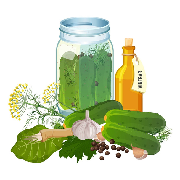 Jar with cucumbers and ingredients for pickles preparation - Vector, Image