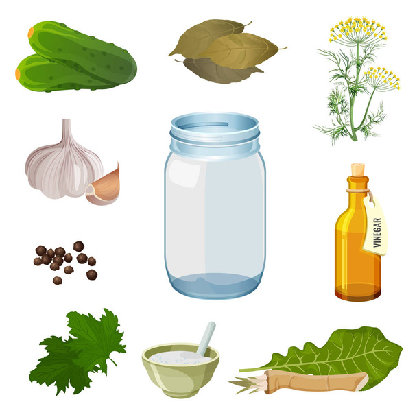 空瓶と漬物の準備のための新鮮な食材 - ベクター画像