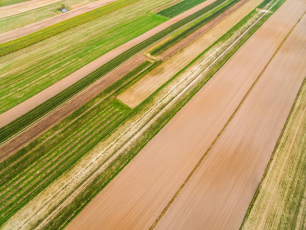 Rural landscape - farmland seen from the bird's eye view. Colorful stripes and lines. - Photo, Image