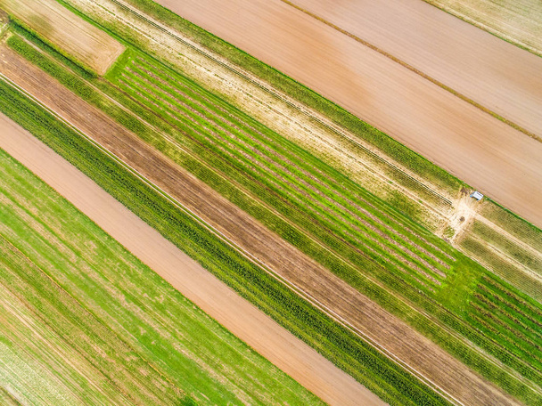 Rural landscape seen from the air. Cultivated fields seen from the bird's eye view. Colors and transverse lines. - 写真・画像
