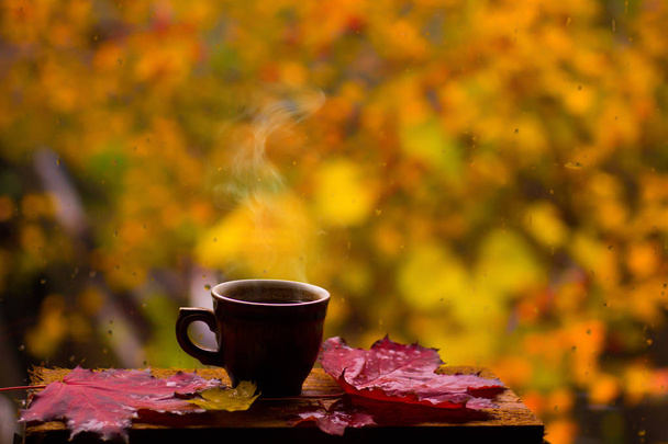 Чашка горячего кофе и красные листья на окне
 - Фото, изображение