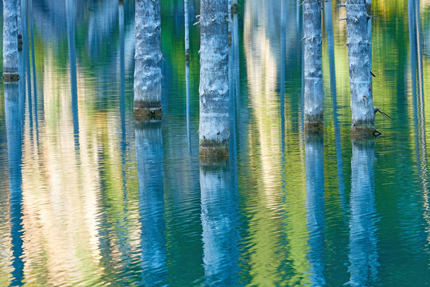 De verzonken bos van Lake Kaindy.Lake Kaindy, wat betekent dat het "berken boom meer" is een 400-meter-lang meer in Kazachstan die diepten in de buurt van 30 meter in sommige gebieden bereikt. Het is ligt 129 kilometer east-southeast van de stad Almaty.  - Foto, afbeelding