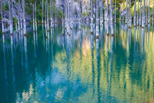 Der versunkene Wald des kaindy.lake kaindy, d.h. der "Birkensee" ist ein 400 Meter langer See in Kasachstan, der in einigen Gebieten bis zu 30 Meter tief reicht. es liegt 129 km östlich-südöstlich der Stadt Almaty.  - Foto, Bild