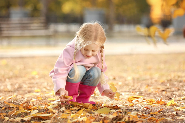 Cute little girl in autumn park - Foto, afbeelding