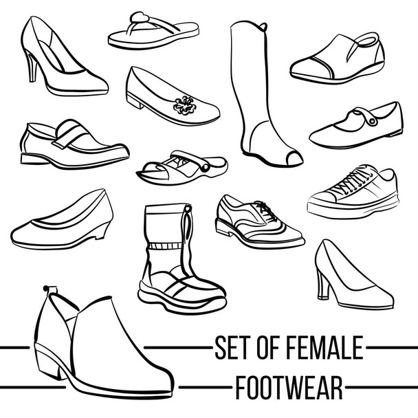 Набор векторных линий женской обуви
 - Вектор,изображение