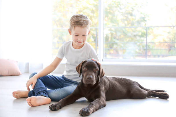 Cute little boy with dog near window at home - Foto, immagini