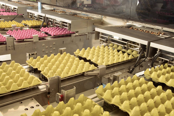 fabbrica di uova, scatole di uova
  - Foto, immagini