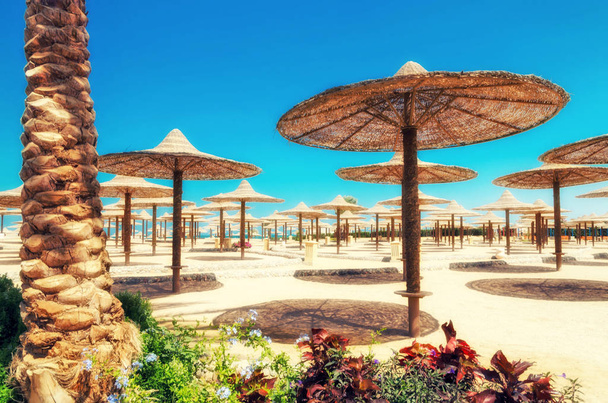 Sedie sdraio e ombrelloni sulla spiaggia contro il cielo blu e
 - Foto, immagini