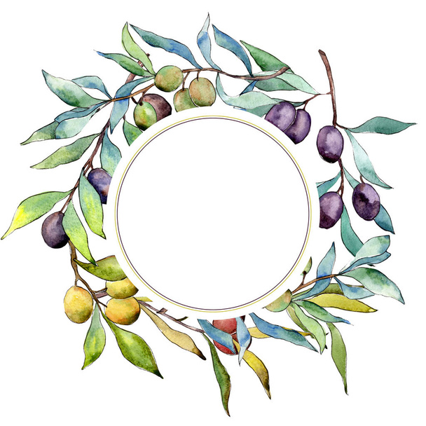 Olive tree frame in a watercolor style. - Foto, imagen