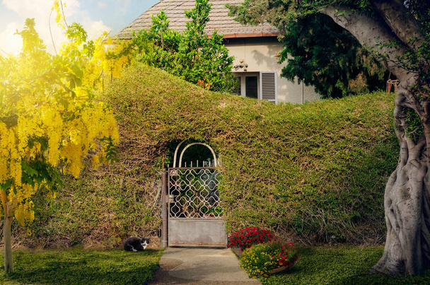 Αμπέλι-καλύπτονται φράχτη μπροστά από μικρό σπίτι - Φωτογραφία, εικόνα