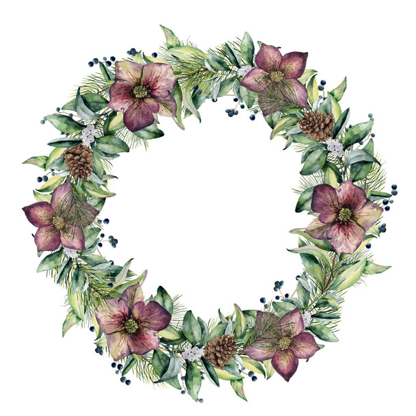 Watercolor winter wreath with hellebore flowers. Hand painted snowberry and eucalyptus branch isolated on white background. Floral border for design. - Fotografie, Obrázek