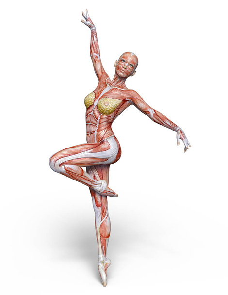 3D CG rendering of a female lay figure. - Foto, imagen