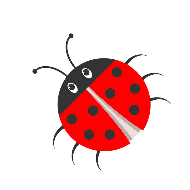Ladybug icon. Vector illustration. - Vector, Image