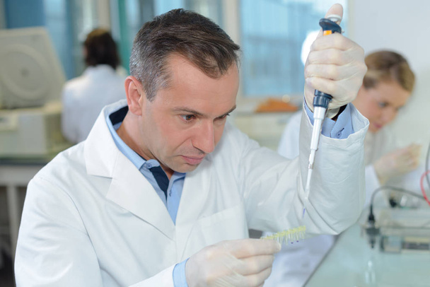 Laboratory technician using pipette - Фото, изображение