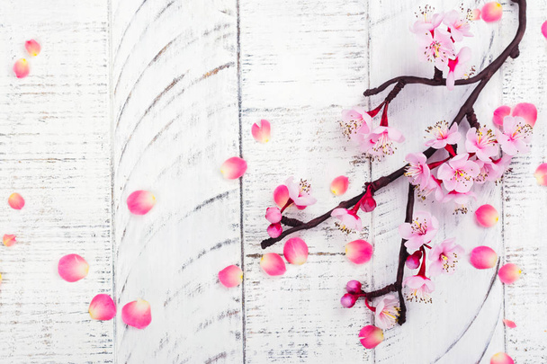 Cherry blossom. Pink flowers of sakura. Spring or moms day concept - Fotó, kép