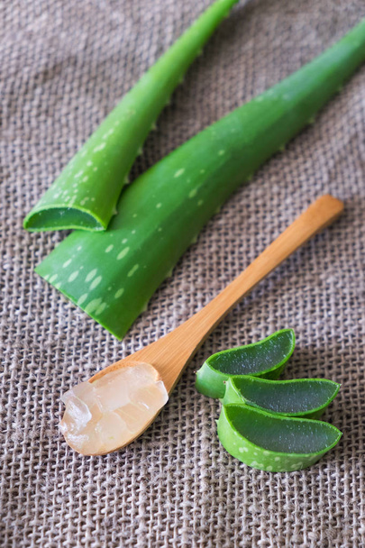 Aloe vera - Φωτογραφία, εικόνα