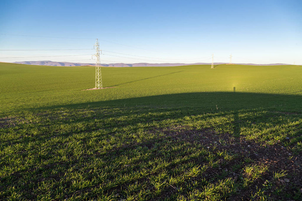 Hosszú árnyékok, a búza mezők felett - Fotó, kép