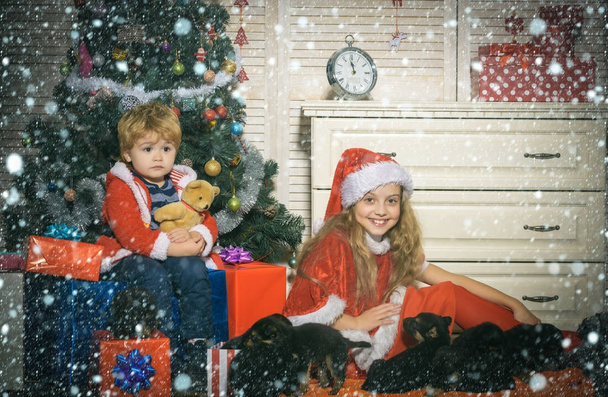 Christmas happy children with puppy. - Photo, image
