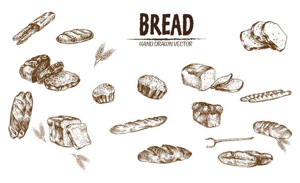 Digital vector detailed line art baked bread - Vector, Image