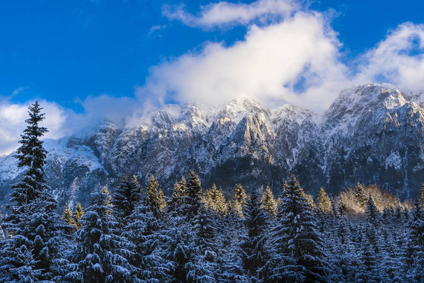 Beautiful winter landscape with Carpati Piatra Craiului mountain - Foto, imagen