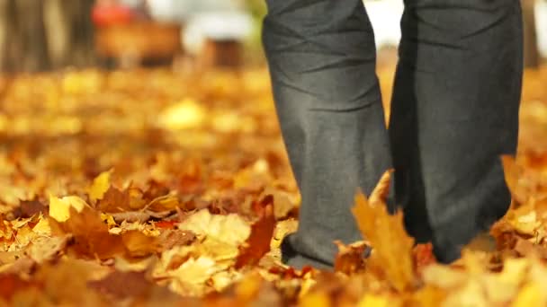 遅い概念。黄色の木が秋の公園で男の散歩。カメラからの移動をフーツします。. - 映像、動画