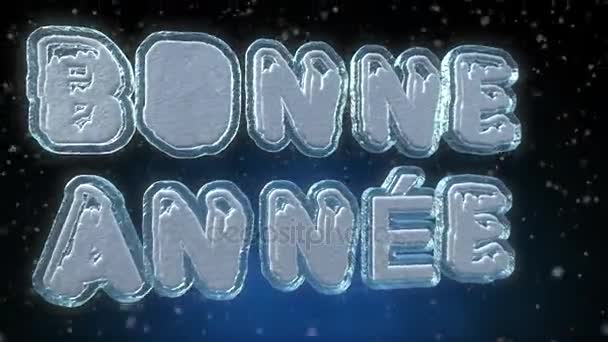 Happy New Year 3d tekst in de Franse taal - Bonne Anne - bevroren ijs teksteffect met sneeuw vallen - animatie in een lus 4 k resolutie Ultra Hd - Video