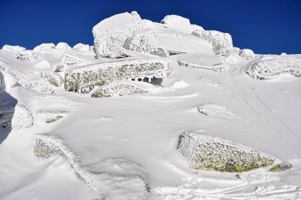 Kivet lumen alla Chopok-vuoren huipulla Sloveniassa
 - Valokuva, kuva