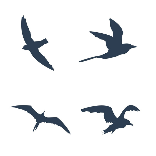 Iconos de aves voladoras
 - Vector, Imagen