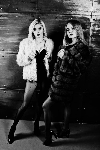 Two elegante blonde girls wear on fur coat and combi dress posed - 写真・画像
