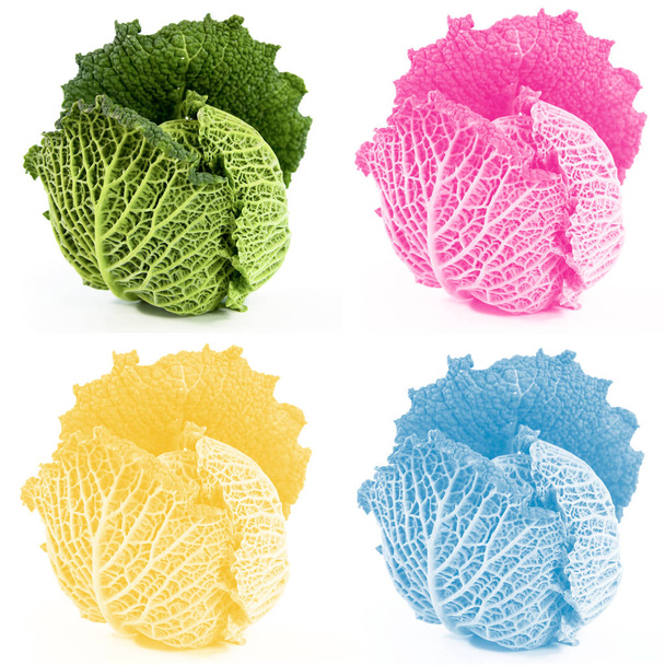 Four colors desing cabbages - Zdjęcie, obraz