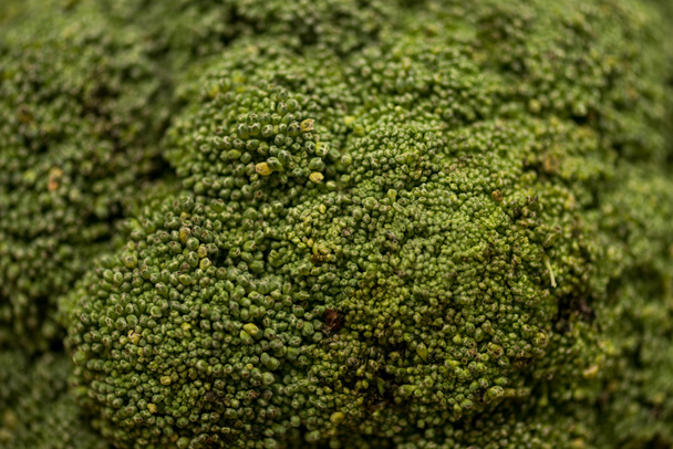 Close-up van groene rijpe rauwe broccoli - Foto, afbeelding