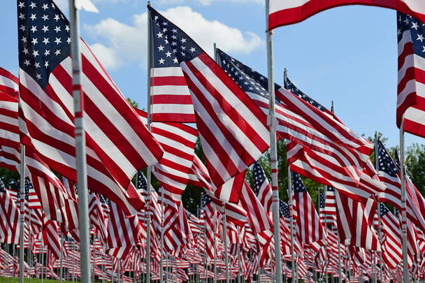 Field of American Flags - Φωτογραφία, εικόνα