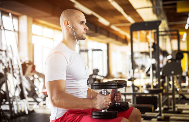 strong muscular man exercising with dumbbells in gym  - Photo, Image