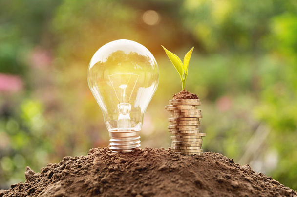 Energy saving light bulb and tree growing on stacks of coins on nature background. Saving, accounting and financial concept. - Photo, Image